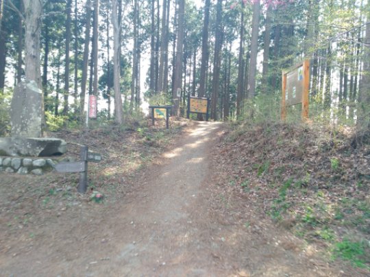画像22
